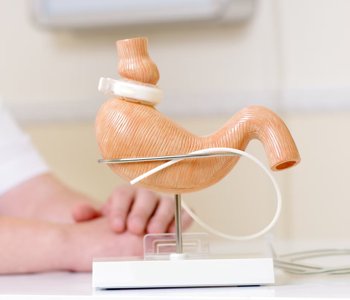 How Adjustable Gastric Bands Really Work